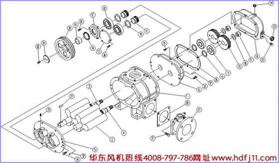 羅茨風(fēng)機(jī)結(jié)構(gòu)圖.jpg