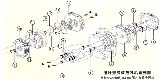 扭葉羅茨風(fēng)機(jī)02.jpg